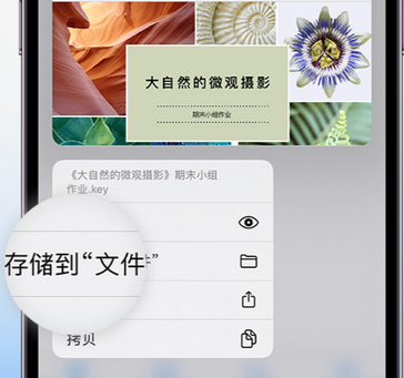 休宁apple维修中心分享iPhone文件应用中存储和找到下载文件