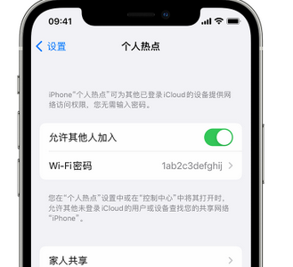 休宁apple服务站点分享iPhone上个人热点丢失了怎么办 