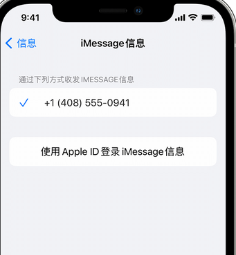 休宁apple维修iPhone上无法正常发送iMessage信息 