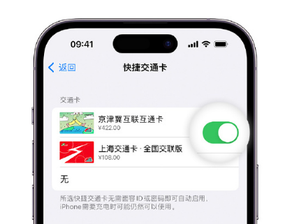 休宁apple维修点分享iPhone上更换Apple Pay快捷交通卡手绘卡面 