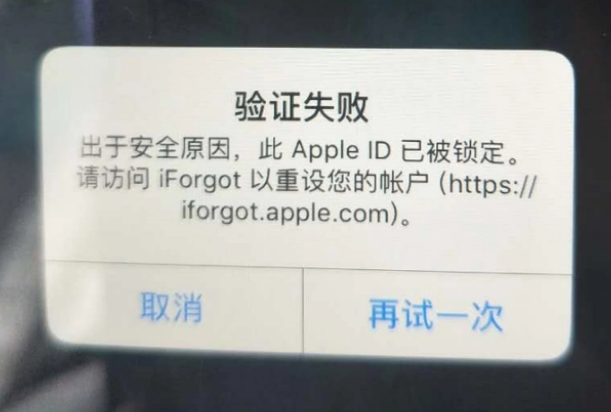 休宁iPhone维修分享iPhone上正常登录或使用AppleID怎么办 