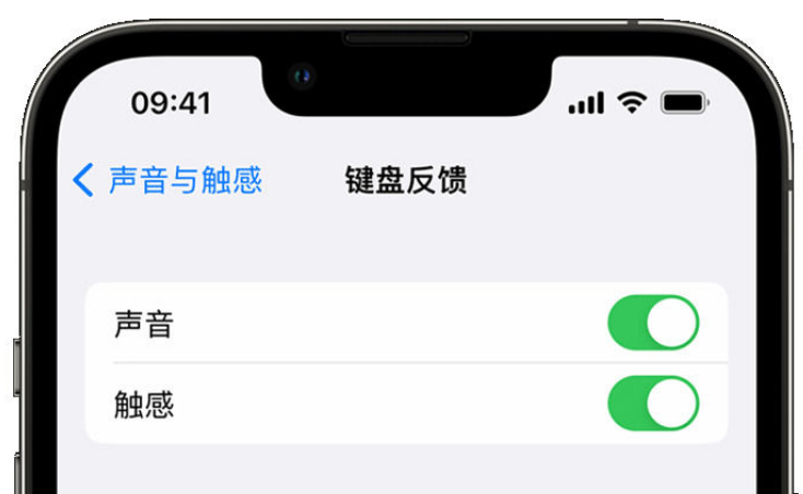 休宁苹果手机维修分享iPhone 14触感键盘使用方法 