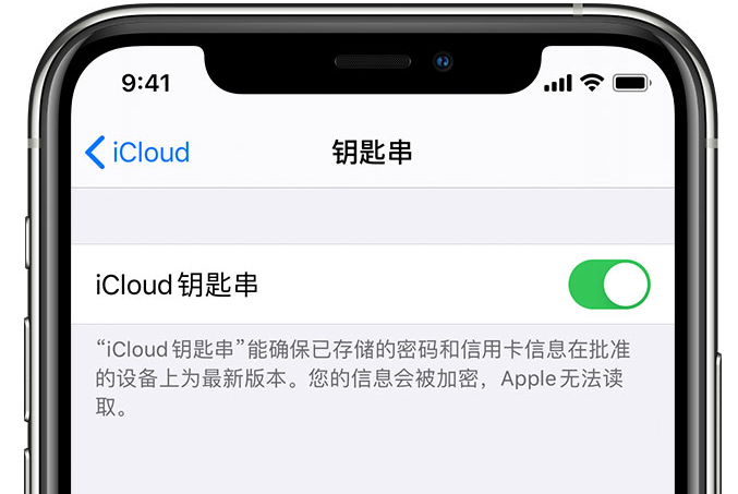 休宁苹果手机维修分享在 iPhone 上开启 iCloud 钥匙串之后会储存哪些信息 
