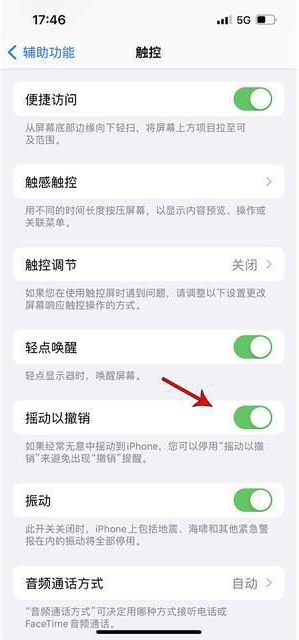 休宁苹果手机维修分享iPhone手机如何设置摇一摇删除文字 